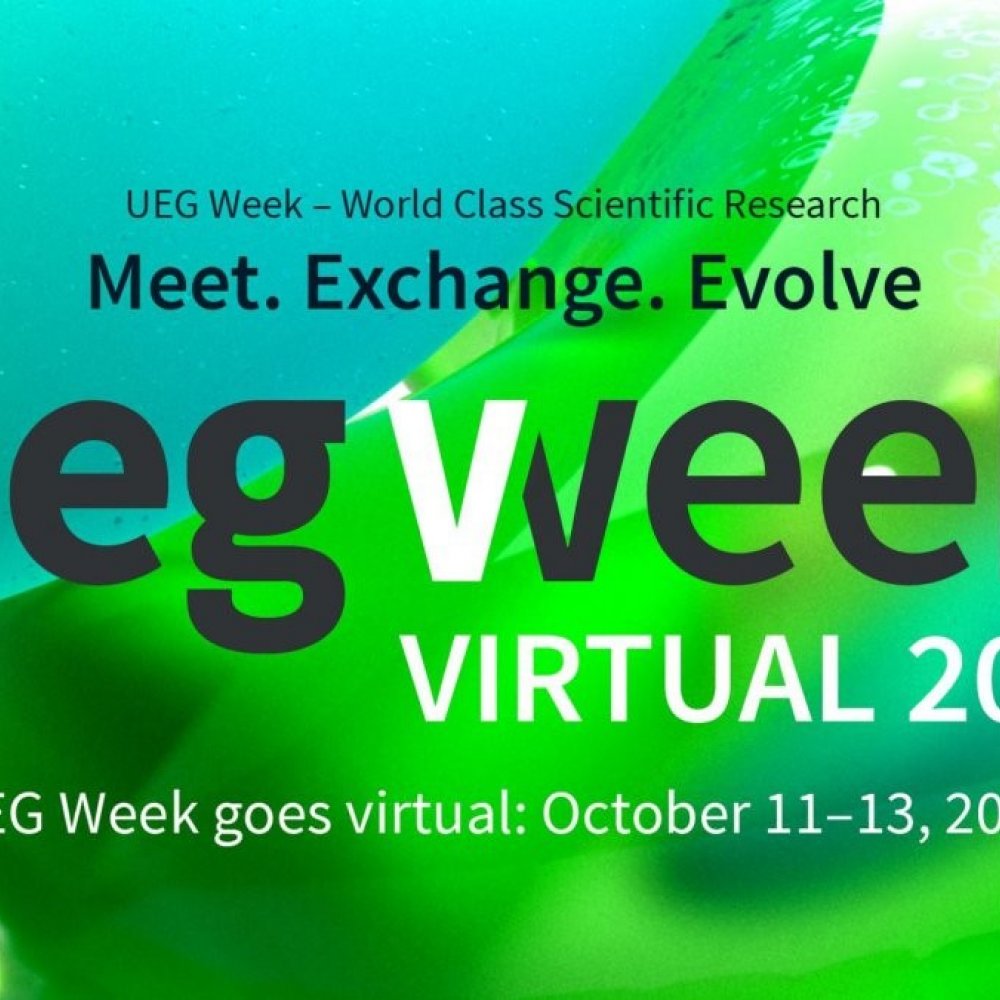 Coordinator Prof. Silvio Danese introduces ImmUniverse at ueg week
