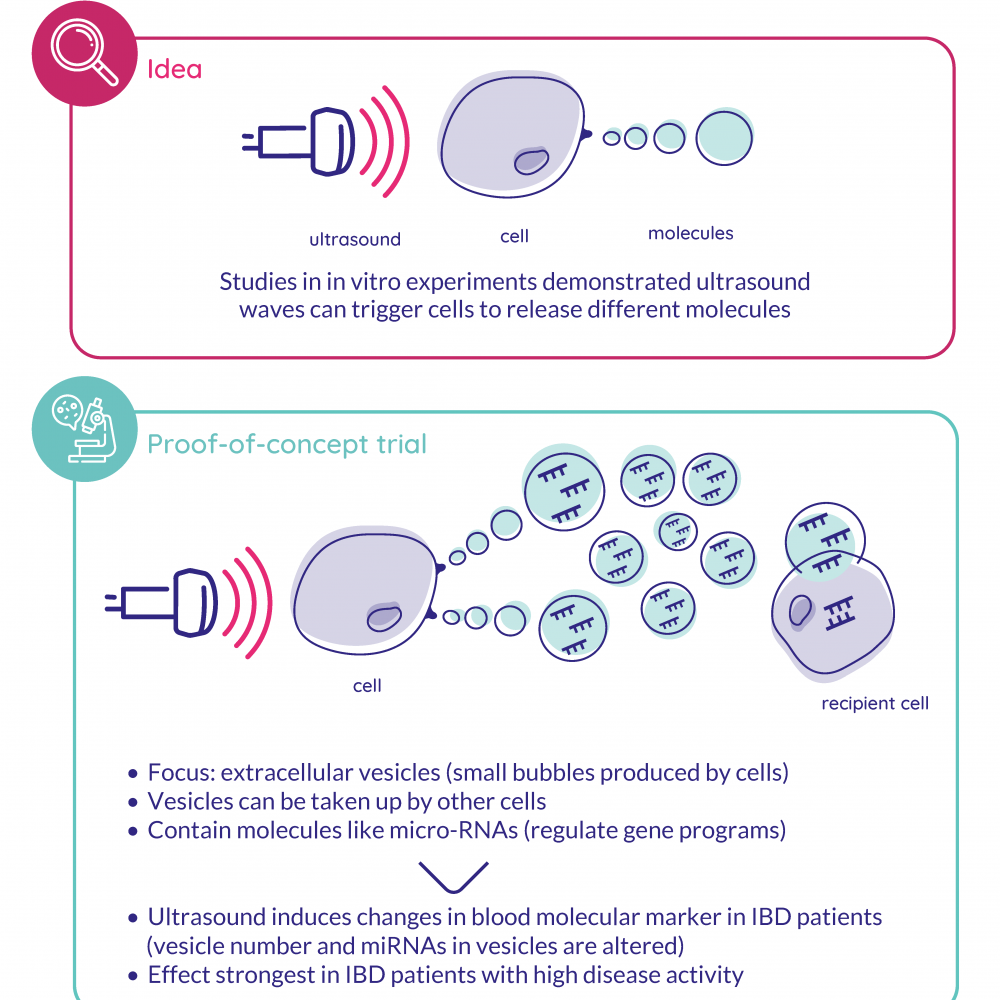Dynamic changes in extracellular vesicle-associated miRNAs elicited by ultrasound in inflammatory bowel disease patients